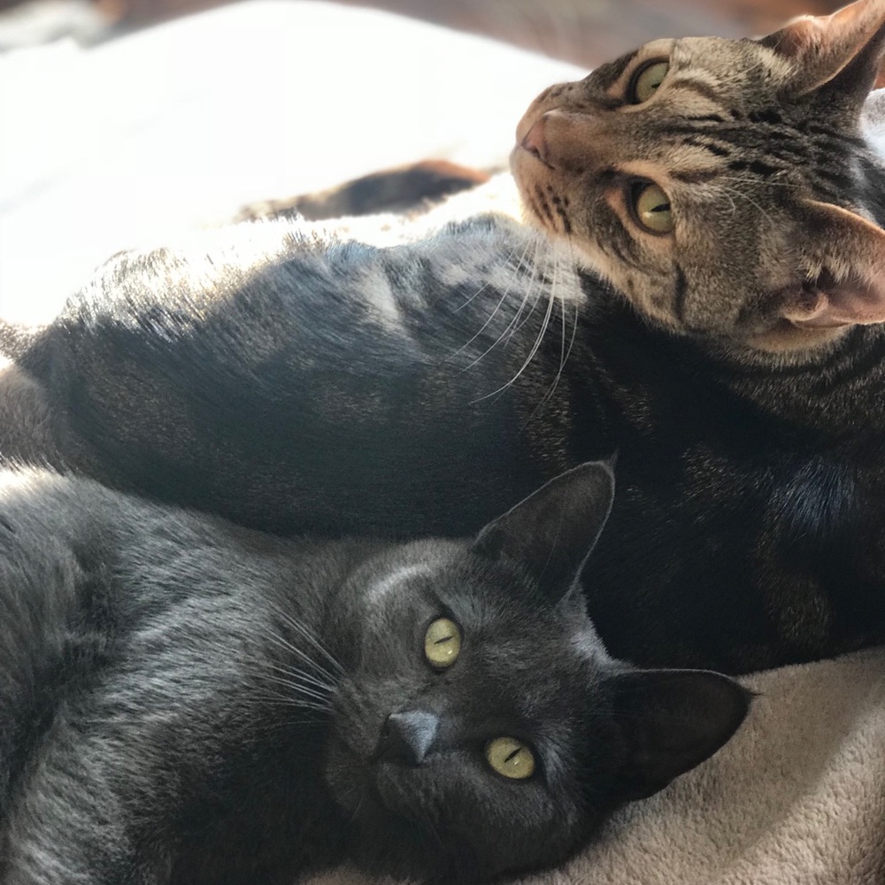 Meet your Posher, Elaine